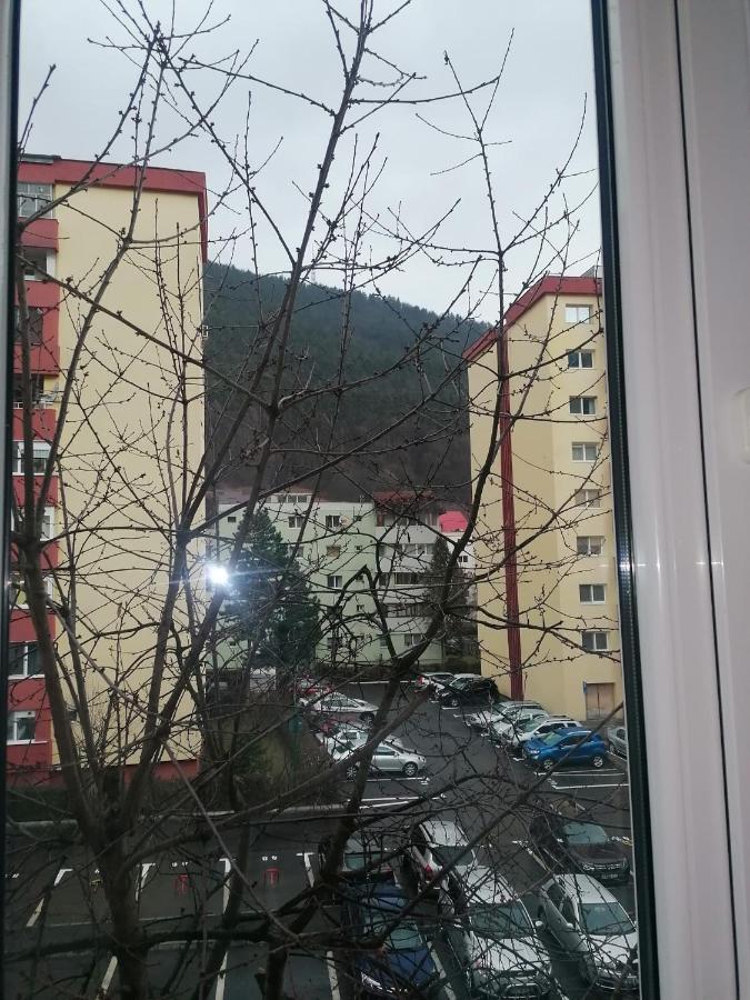 Racadau Apartamento *